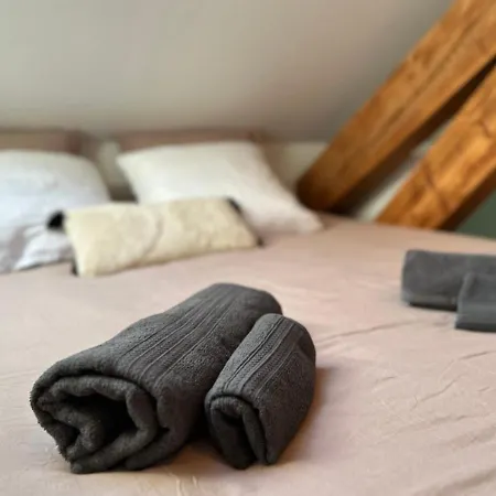 Duplex Loft - Central & Home Cinema Annecy Buitenkant foto