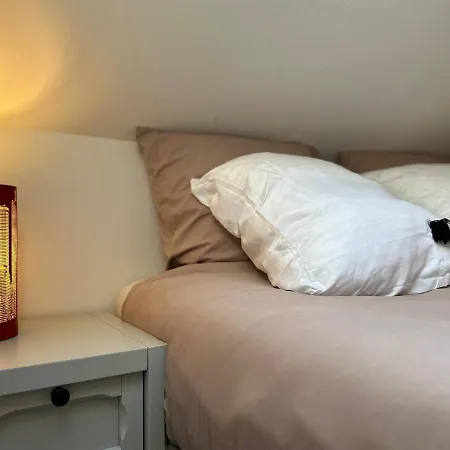 Duplex Loft - Central & Home Cinema Annecy Buitenkant foto