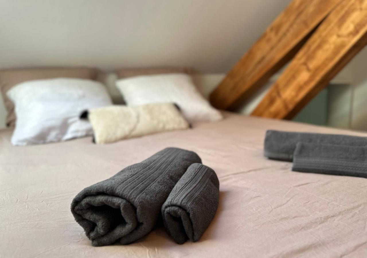 Apartamento Duplex Loft - & Cinema Annecy